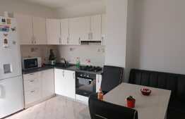 Oportunitate! Casa 2 camere, 60 mp utili, Gradiste!