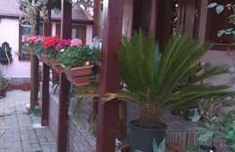 Casa de 150 mp utili plus spatiu birouri sau comercial, 480 mp teren, Vladimirescu