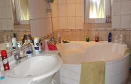 Casa de 150 mp utili plus spatiu birouri sau comercial, 480 mp teren, Vladimirescu