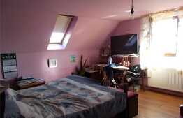 Casa de 150 mp utili plus spatiu birouri sau comercial, 480 mp teren, Vladimirescu