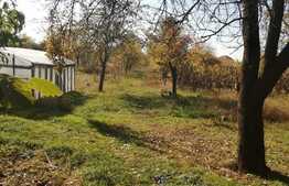 Casa renovabila sau demolabila, teren 5506 mp, Paulis