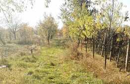 Casa renovabila sau demolabila, teren 5506 mp, Paulis