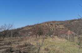 Casa renovabila sau demolabila, teren 5506 mp, Paulis