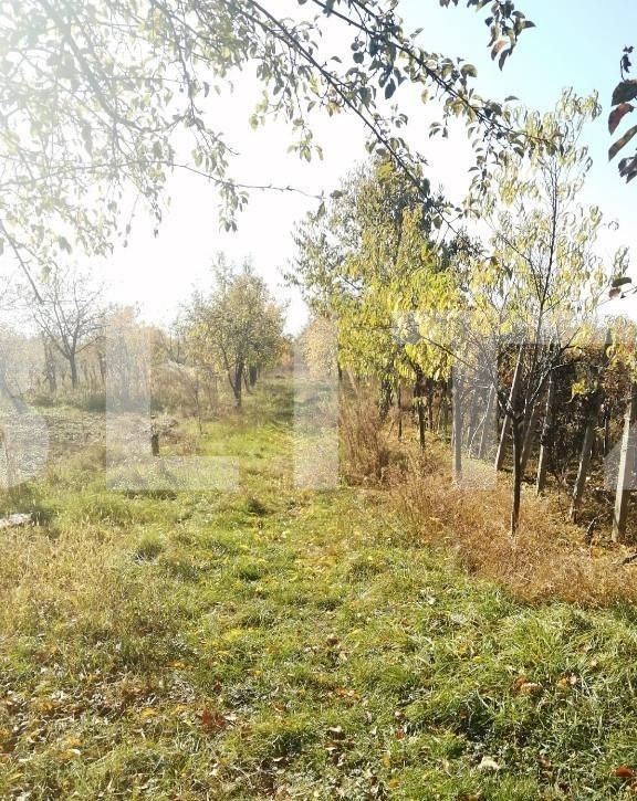 Casa de vânzare 2 camere Est - 82936CV | BLITZ Arad | Poza12