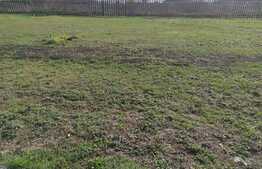 Casa de vacanta, 1224 mp teren, Șofronea