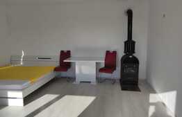 Casa de vacanta, 1224 mp teren, Șofronea