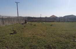 Casa de vacanta, 1224 mp teren, Șofronea