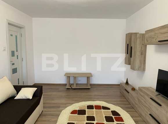 Apartament de închiriat 3 camere Intim - 83055AI | BLITZ Arad | Poza2
