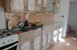 Casa de 120 mp utili, 3 corpuri, 938 mp, Cuvin