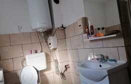 Casa de 120 mp utili, 3 corpuri, 938 mp, Cuvin