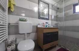 Casa de 80 mp, teren 670 mp, Vladimirescu