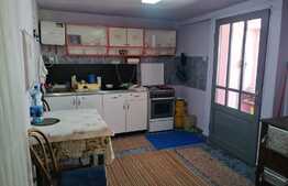 Casa 5 camere, doua corpuri, cu teren 1889 mp, front stradal 86 ml, Minis