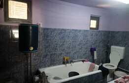 Casa 5 camere, doua corpuri, cu teren 1889 mp, front stradal 86 ml, Minis