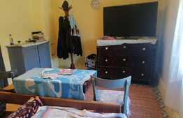 Casa 5 camere, doua corpuri, cu teren 1889 mp, front stradal 86 ml, Minis