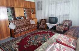 Casa 5 camere, doua corpuri, cu teren 1889 mp, front stradal 86 ml, Minis