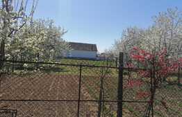 Casa 5 camere, doua corpuri, cu teren 1889 mp, front stradal 86 ml, Minis