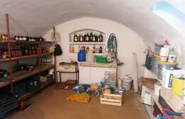 Casa 5 camere, doua corpuri, cu teren 1889 mp, front stradal 86 ml, Minis