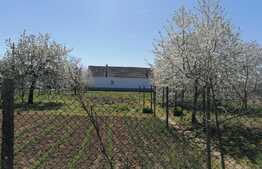 Casa 5 camere, doua corpuri, cu teren 1889 mp, front stradal 86 ml, Minis