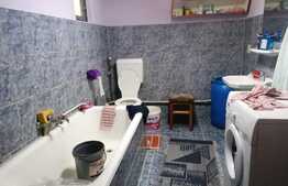 Casa 5 camere, doua corpuri, cu teren 1889 mp, front stradal 86 ml, Minis