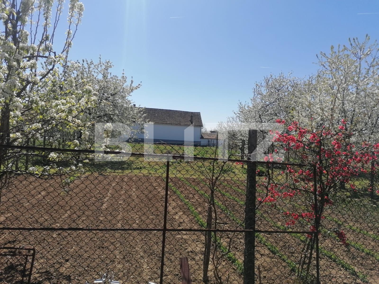 Casa de vânzare 5 camere Exterior Est - 83375CV | BLITZ Arad | Poza19