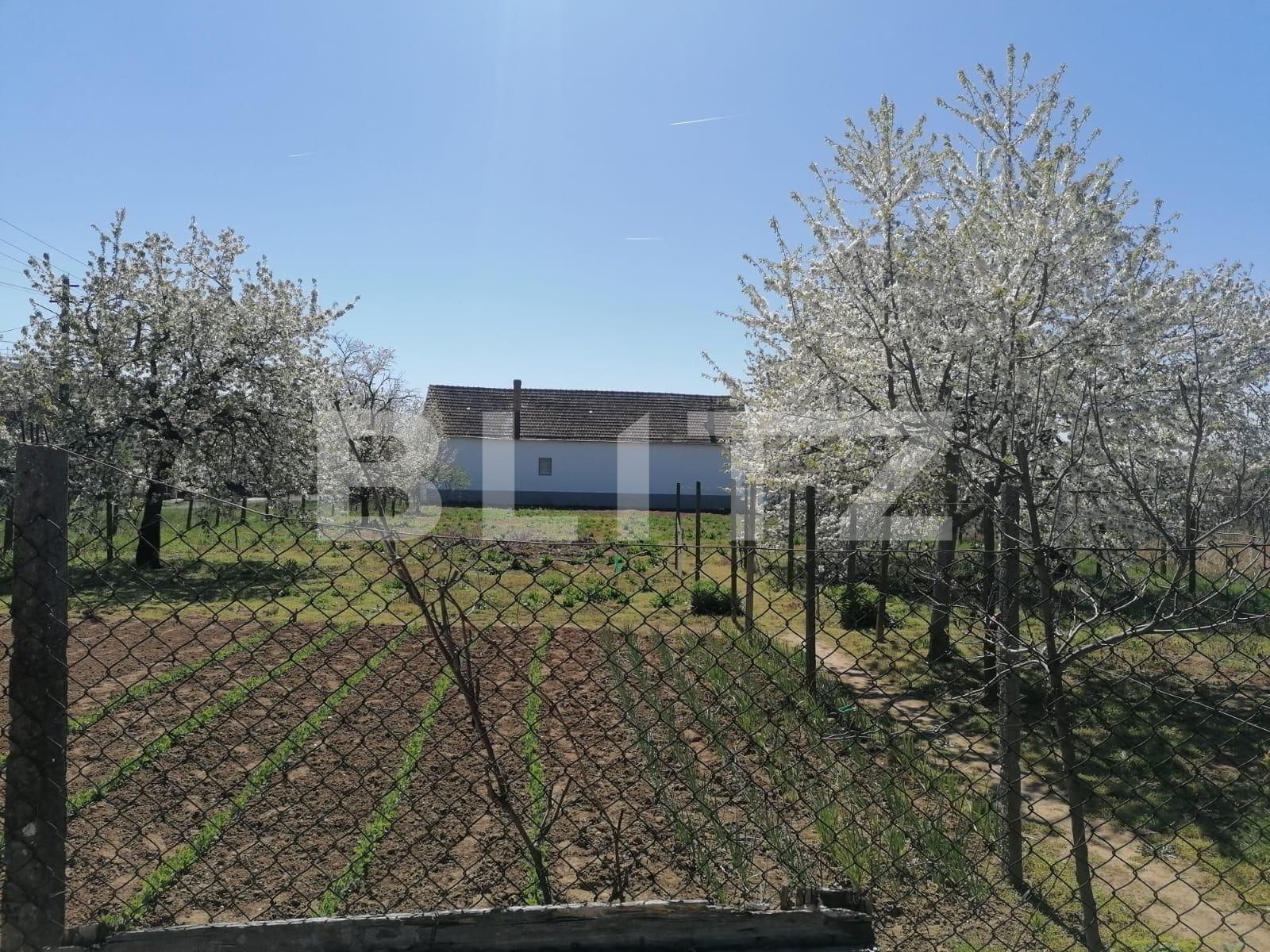 Casa de vânzare 5 camere Exterior Est - 83375CV | BLITZ Arad | Poza18