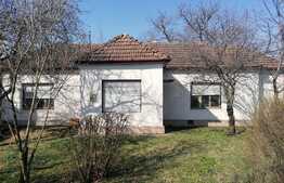 Casa individuala, 3 camere, teren 2797 mp, zona centru Ghioroc