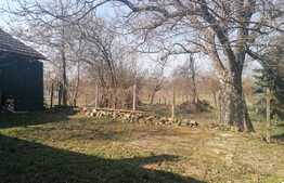 Casa individuala, 3 camere, teren 2797 mp, zona centru Ghioroc