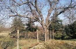 Casa individuala, 3 camere, teren 2797 mp, zona centru Ghioroc