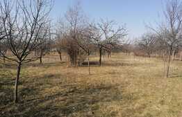 Casa individuala, 3 camere, teren 2797 mp, zona centru Ghioroc