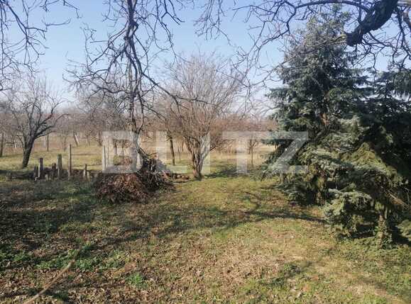 Casa de vânzare 3 camere Exterior Est - 83376CV | BLITZ Arad | Poza12