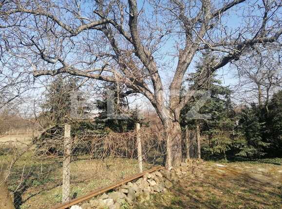 Casa de vânzare 3 camere Exterior Est - 83376CV | BLITZ Arad | Poza14