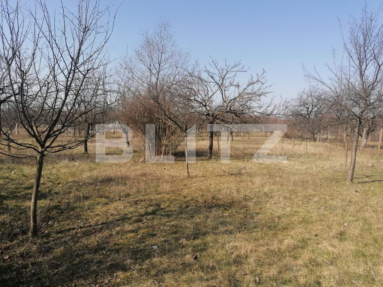 Casa de vânzare 3 camere Exterior Est - 83376CV | BLITZ Arad | Poza15