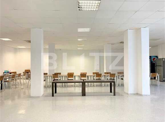 Spațiu comercial de închiriat Parneava - 83787SIC | BLITZ Arad | Poza2