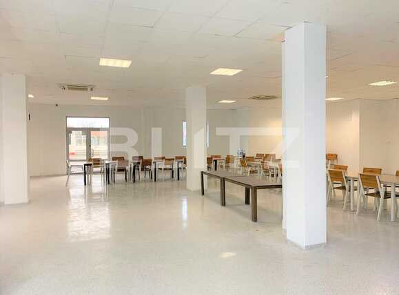Spațiu comercial de închiriat Parneava - 83787SIC | BLITZ Arad | Poza5