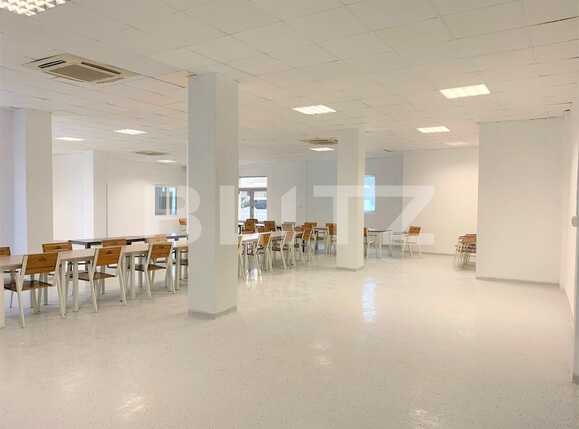 Spațiu comercial de închiriat Parneava - 83787SIC | BLITZ Arad | Poza4