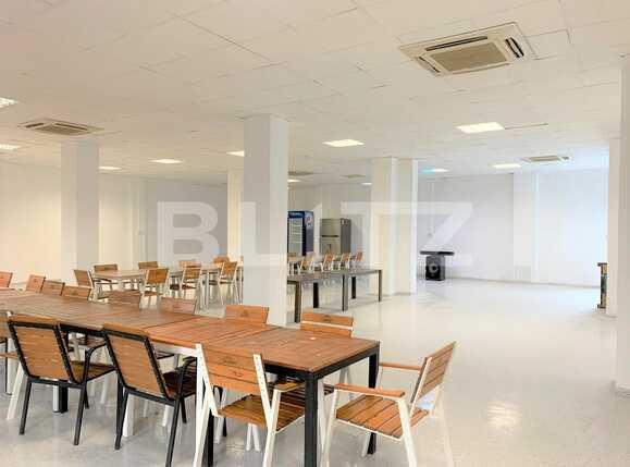 Spațiu comercial de închiriat Parneava - 83787SIC | BLITZ Arad | Poza1