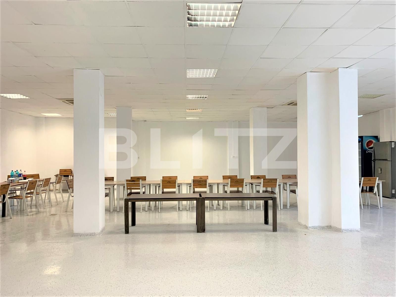 Spațiu comercial de închiriat Parneava - 83787SIC | BLITZ Arad | Poza2