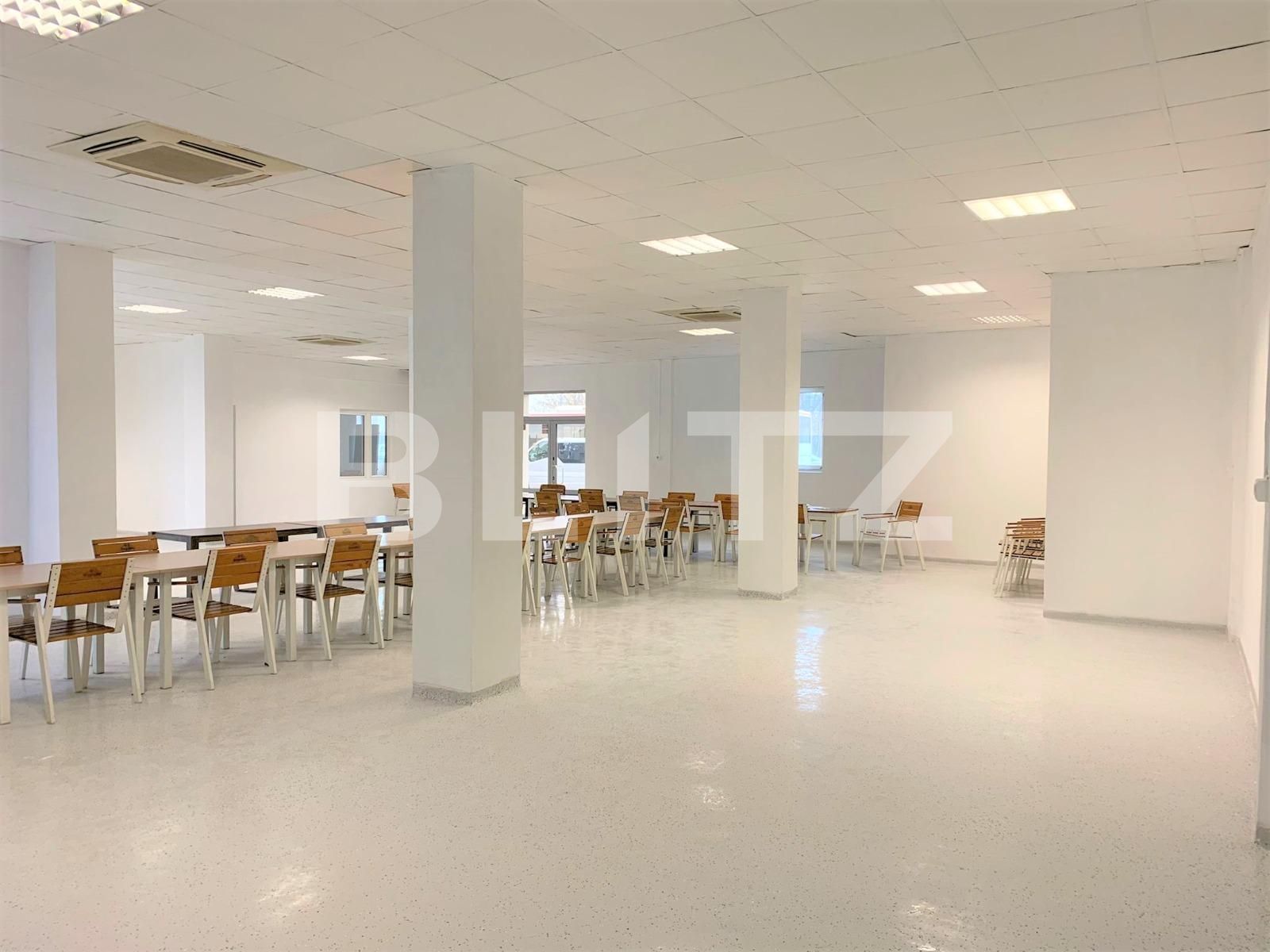 Spațiu comercial de închiriat Parneava - 83787SIC | BLITZ Arad | Poza4