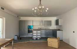 Cladire D+P+1E+M, 10 camere, zona centrala Arad