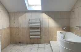 Cladire D+P+1E+M, 10 camere, zona centrala Arad