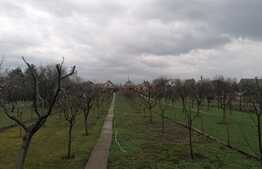 Casa 4 camere, teren 1245 mp, Aradul Nou