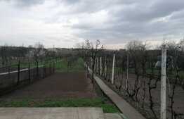 Casa 4 camere, teren 1245 mp, Aradul Nou