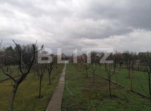 Casa de vânzare 4 camere Aradul Nou - 83921CV | BLITZ Arad | Poza2