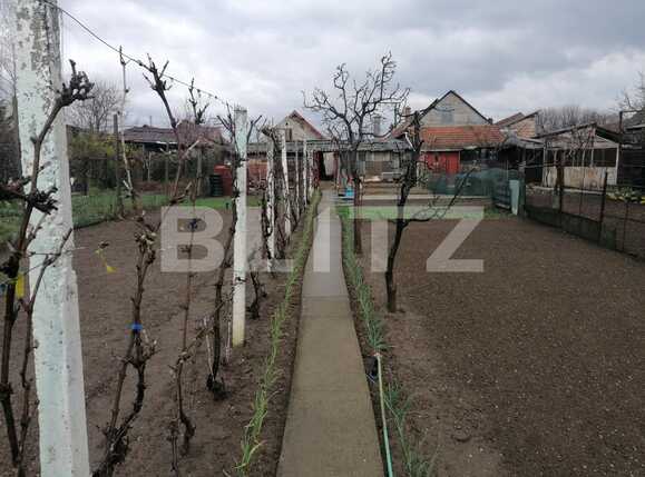 Casa de vânzare 4 camere Aradul Nou - 83921CV | BLITZ Arad | Poza11