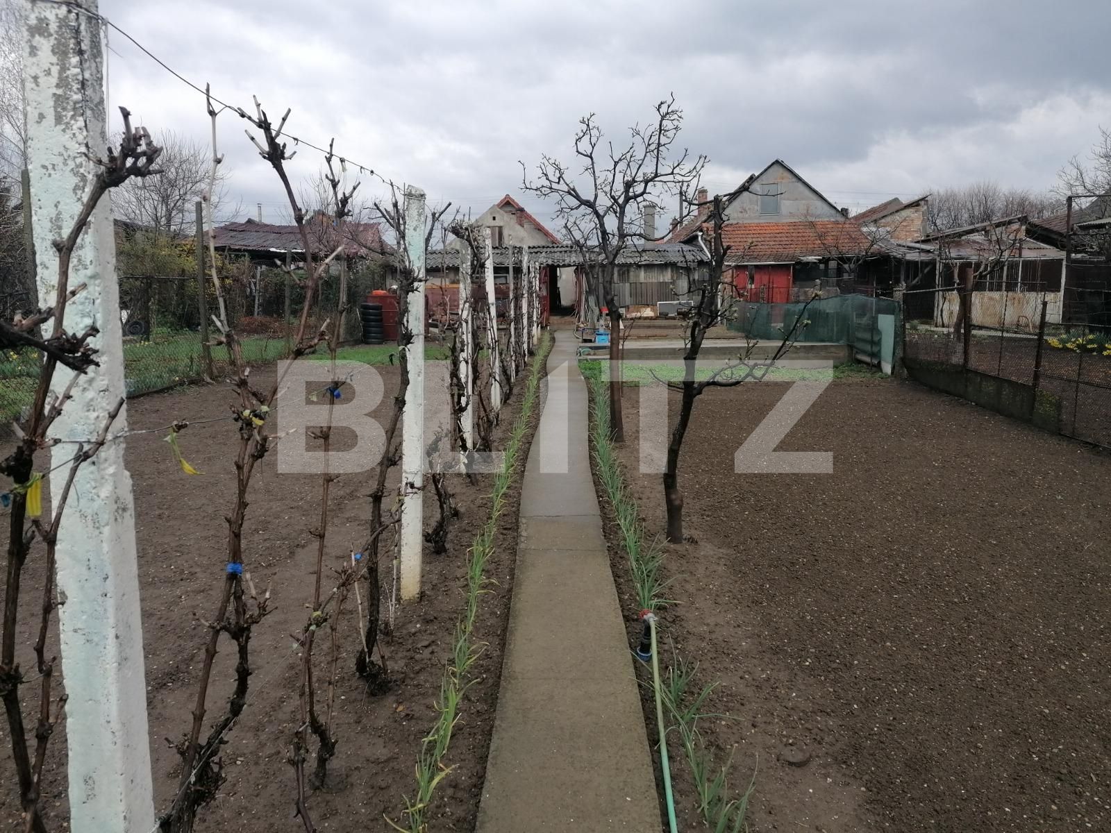 Casa de vânzare 4 camere Aradul Nou - 83921CV | BLITZ Arad | Poza11