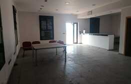 Casa P+M, cu teren 7900 mp, 2000 mp betonati, Fantanele