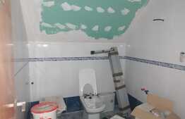 Casa P+M, cu teren 7900 mp, 2000 mp betonati, Fantanele