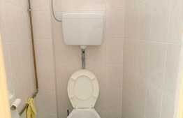 Spatiu comercial avantajos, 80 mp, zona Boul Rosu