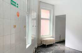 Spatiu comercial avantajos, 80 mp, zona Boul Rosu