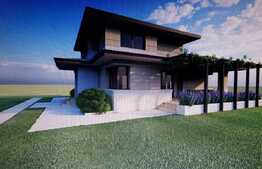 Casa la rosu de 504 mp teren, Vladimirescu